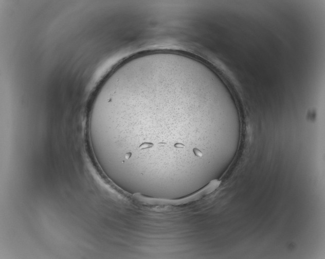 X0000112741416200909101505