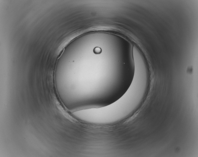 X0000112741417200909101505