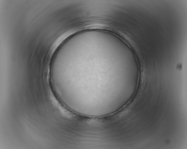 X0000112741418200909101505