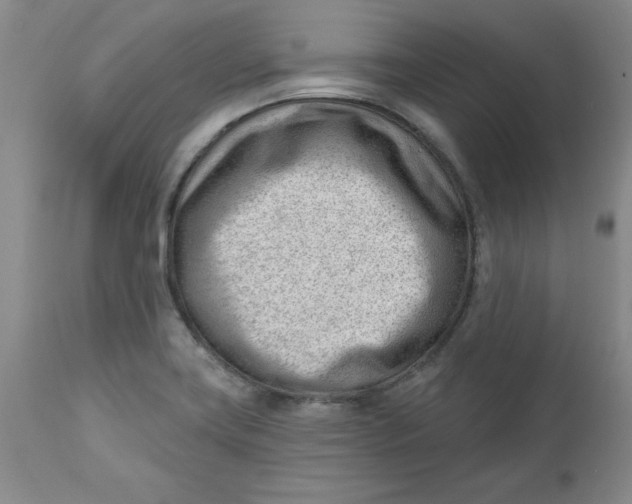 X0000112741419200909101505