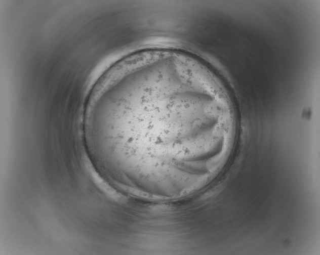 X0000112741421200909101505