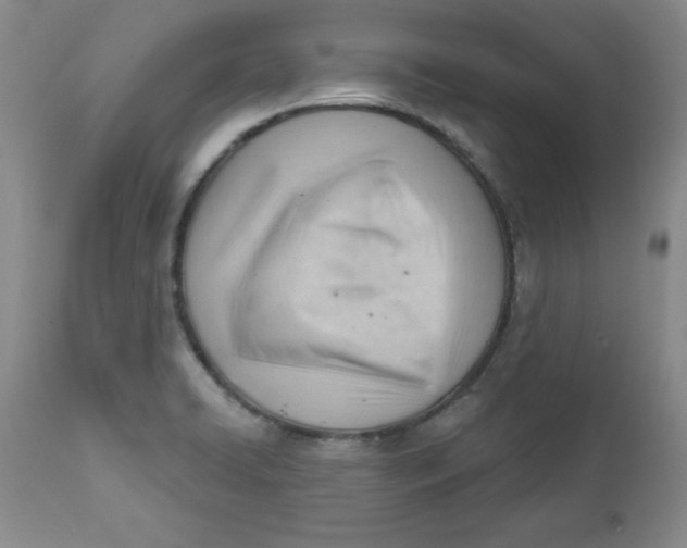 X0000112741422200909101505