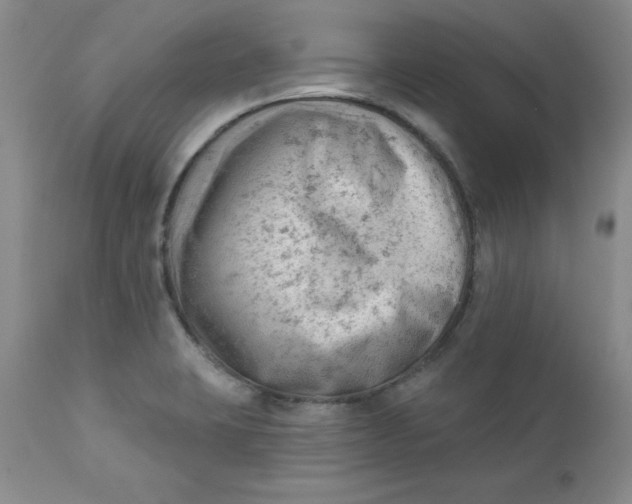 X0000112741423200909101505