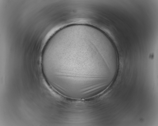 X0000112741424200909101505