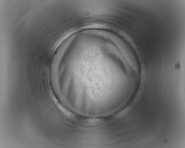 X0000112741425200909101505