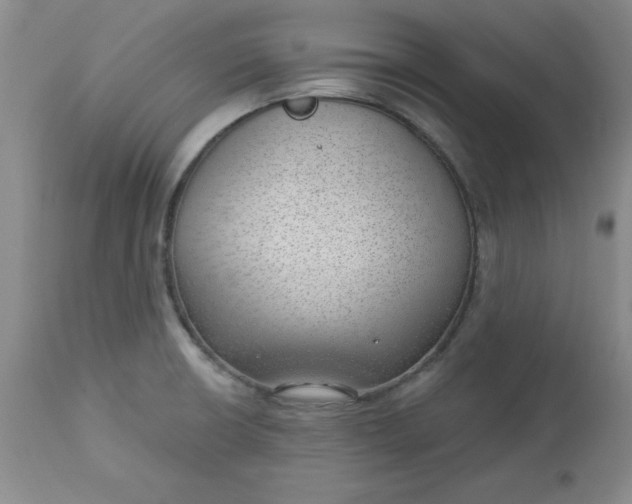 X0000112741426200909101505