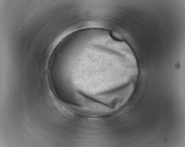 X0000112741427200909101505