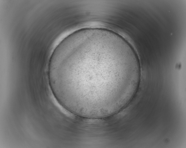 X0000112741429200909101505