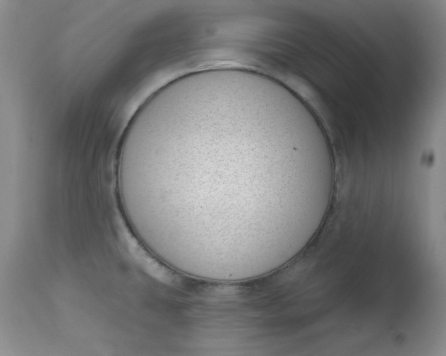 X0000112741431200909101505