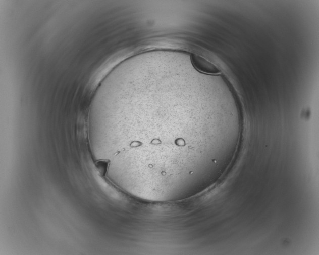 X0000112741433200909101505