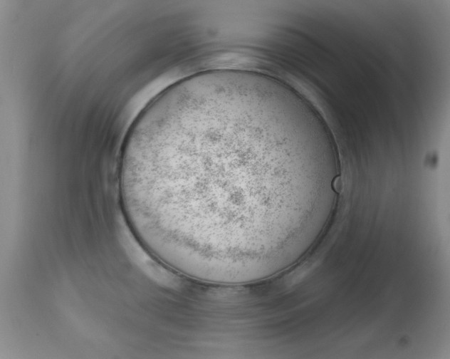 X0000112741434200909101505