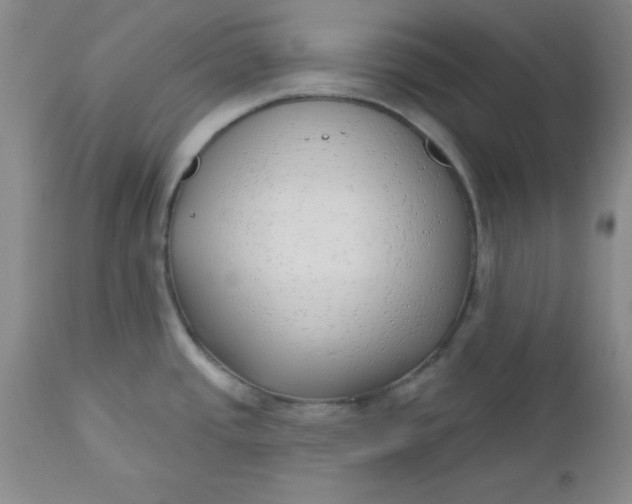 X0000112741437200909101505