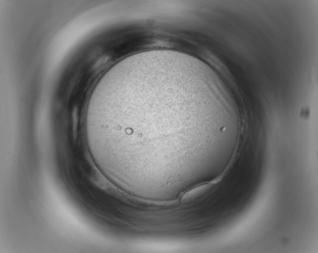 X0000112741439200909101505