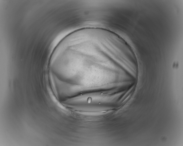 X0000112741440200909101505