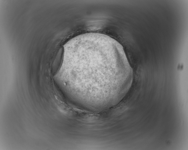 X0000112741441200909101504