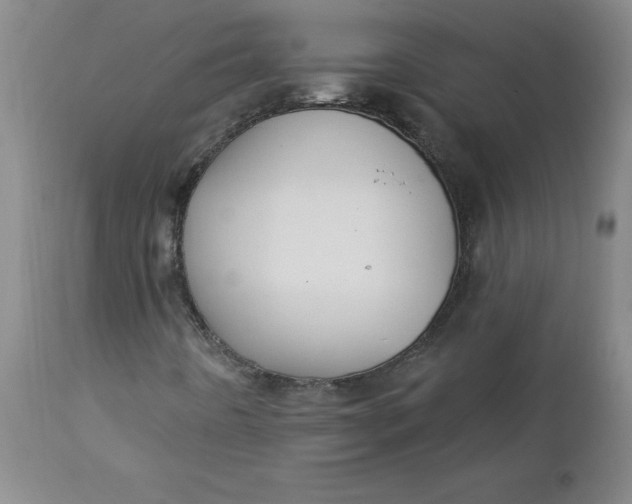 X0000112741442200909101504