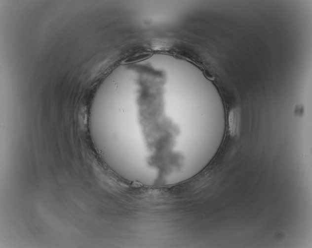 X0000112741443200909101504