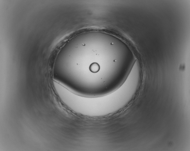 X0000112741448200909101504