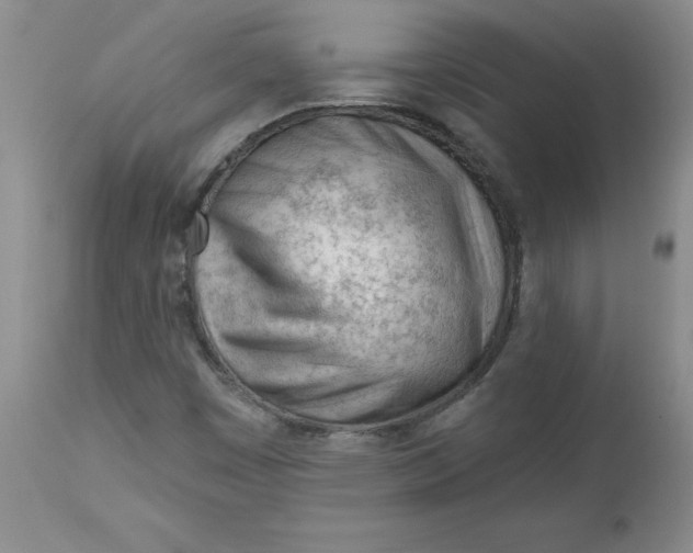 X0000112741449200909101504