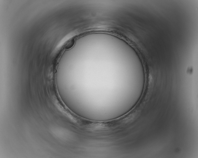 X0000112741450200909101504