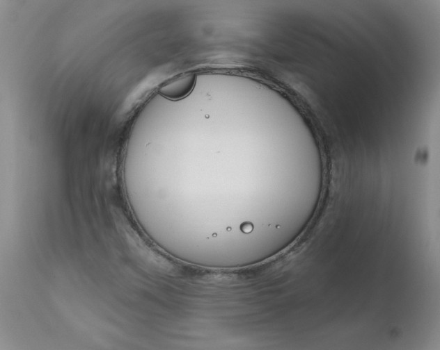 X0000112741451200909101504