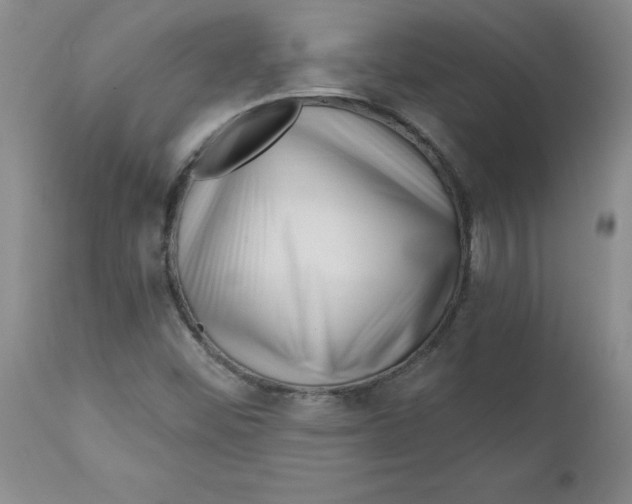 X0000112741452200909101504