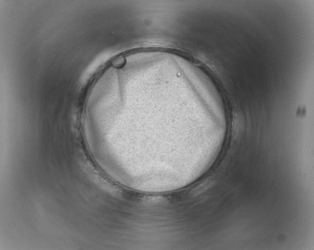 X0000112741454200909101504