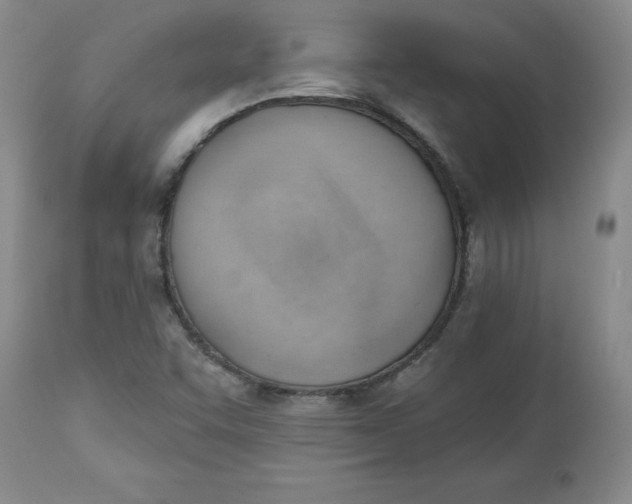 X0000112741455200909101504