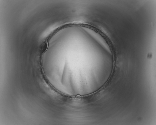 X0000112741456200909101504