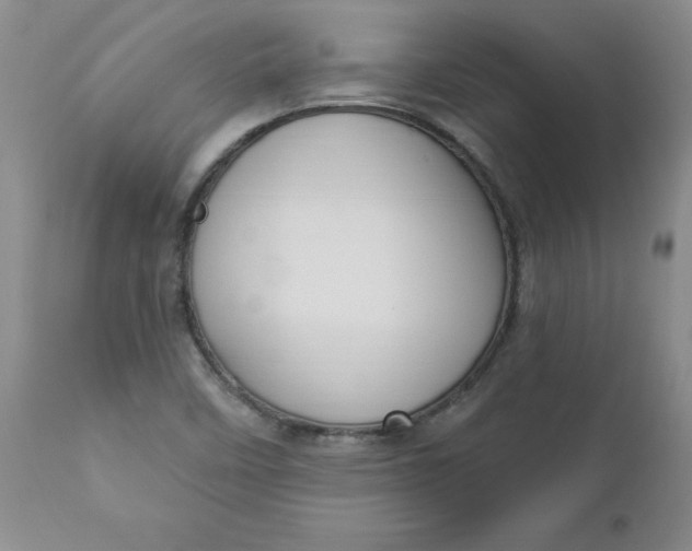 X0000112741458200909101504