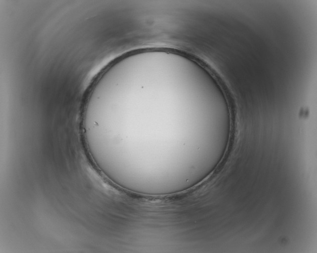 X0000112741460200909101504