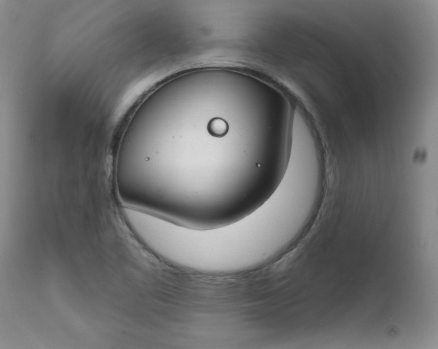 X0000112741461200909101504