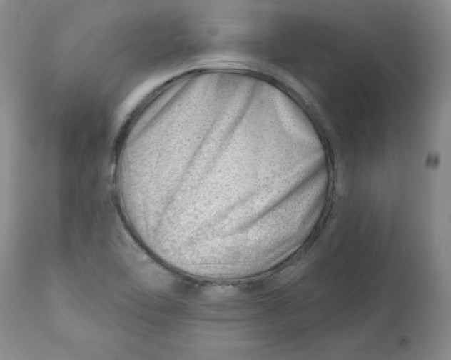 X0000112741462200909101504