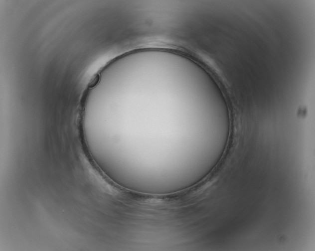 X0000112741463200909101504