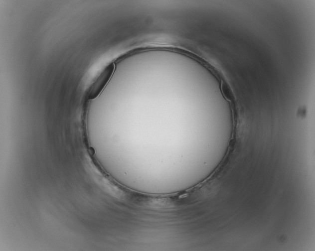 X0000112741464200909101504