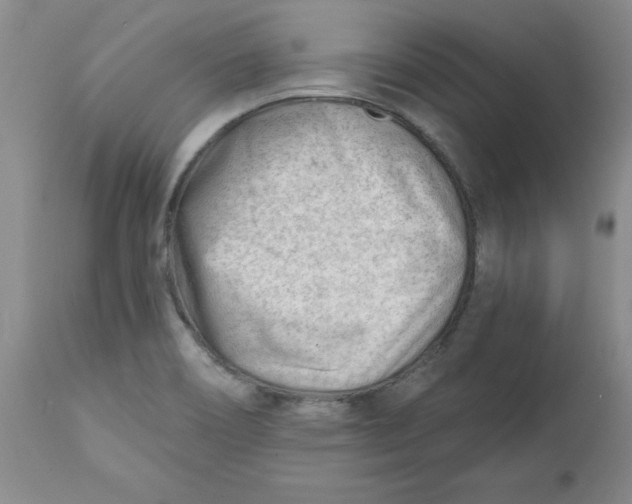 X0000112741466200909101504