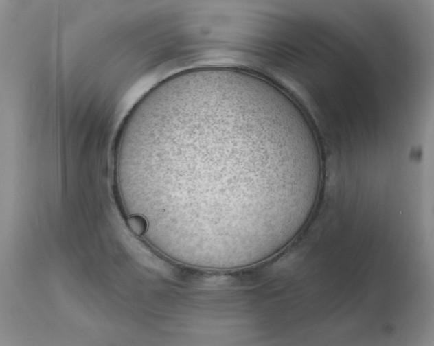 X0000112741467200909101504