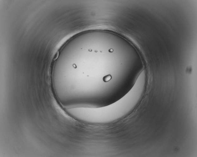 X0000112741468200909101504