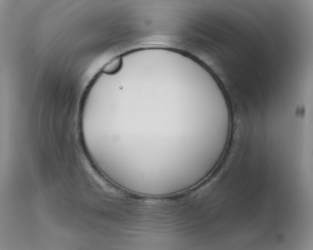 X0000112741469200909101504