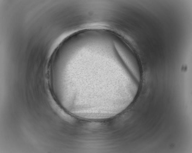 X0000112741470200909101504