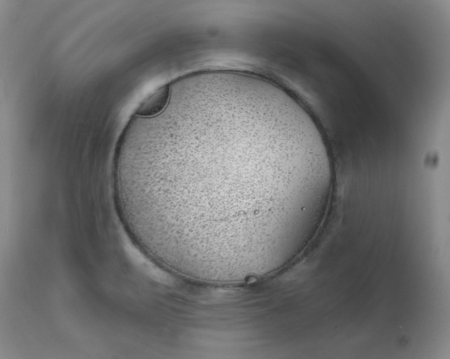 X0000112741471200909101504