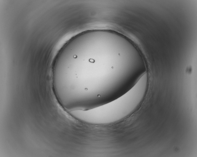 X0000112741472200909101504