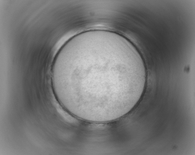 X0000112741474200909101504