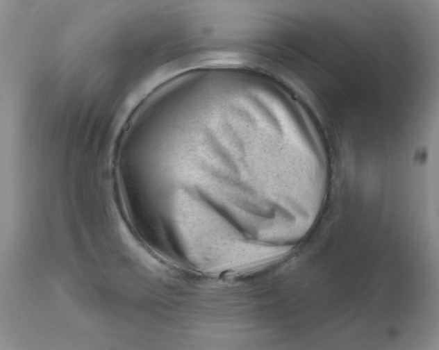 X0000112741475200909101504