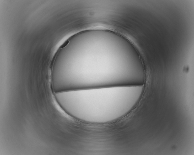 X0000112741476200909101504