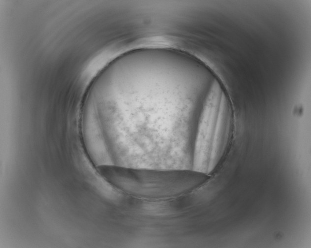 X0000112741477200909101504