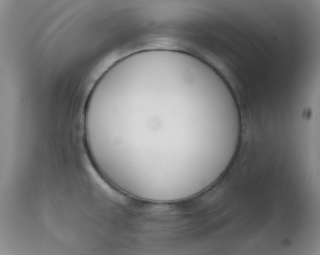 X0000112741479200909101504