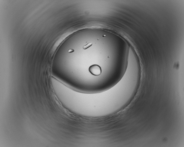 X0000112741481200909101504