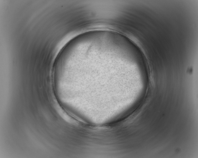 X0000112741482200909101504