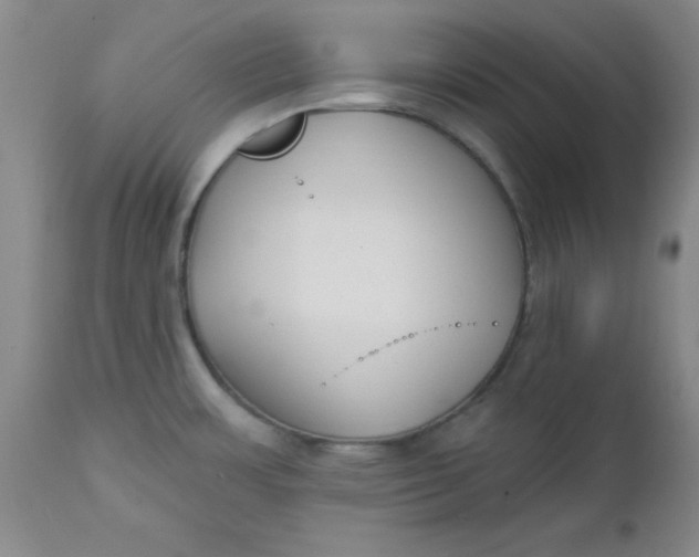 X0000112741483200909101504